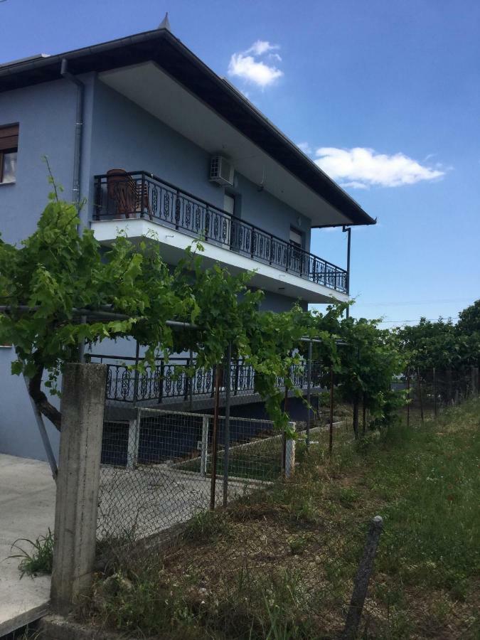 Mario'S House Διαμέρισμα Βεργίνα Εξωτερικό φωτογραφία